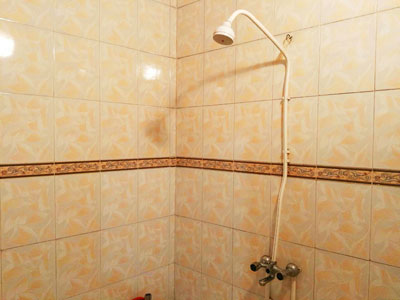 اجاره سوئیت در تبریز - دامپزشکی | تبریز سوئیت